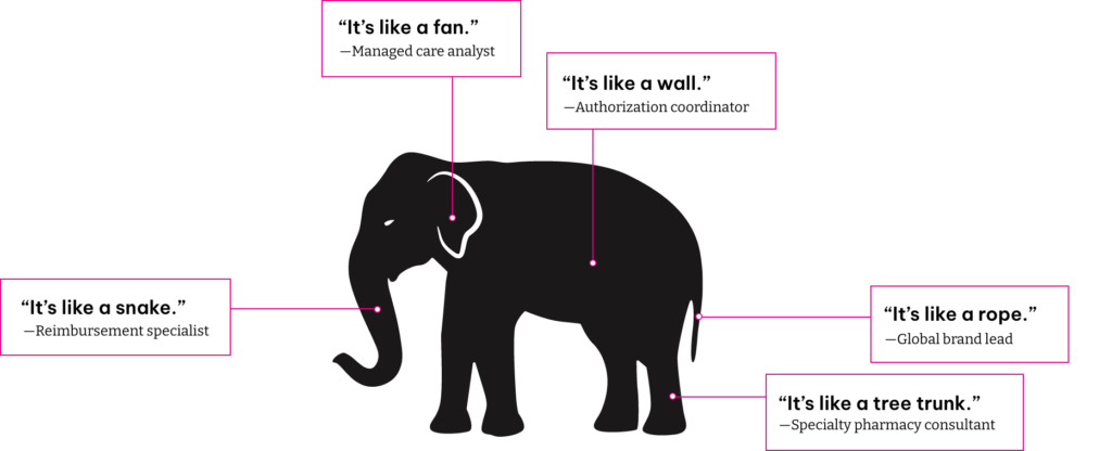 Infographic featuring elephant and varying observations about it